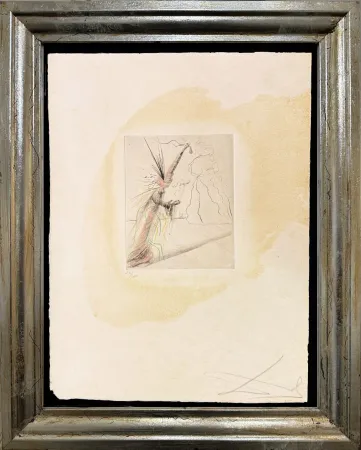 Punta Seca Dali - The Illusionist