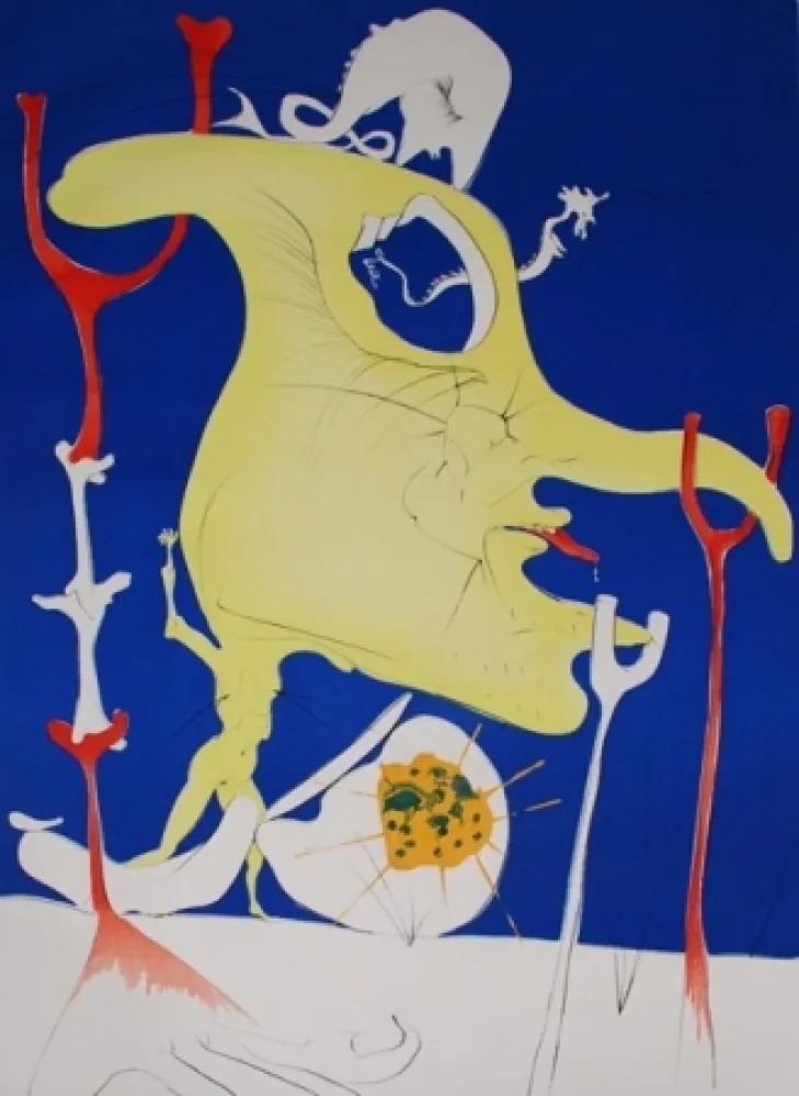 Grabado Dali - The last corner of the last Planet