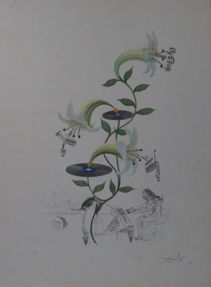 Grabado Dali - The Lily - Lilium Musicum