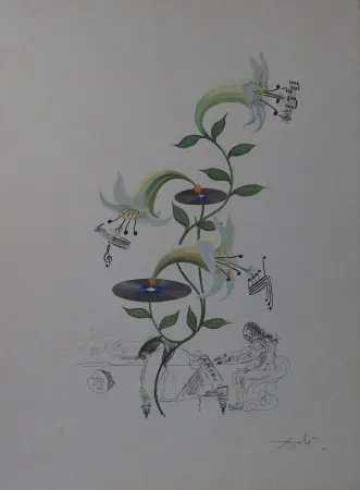Grabado Dali - The Lily - Lilium Musicum