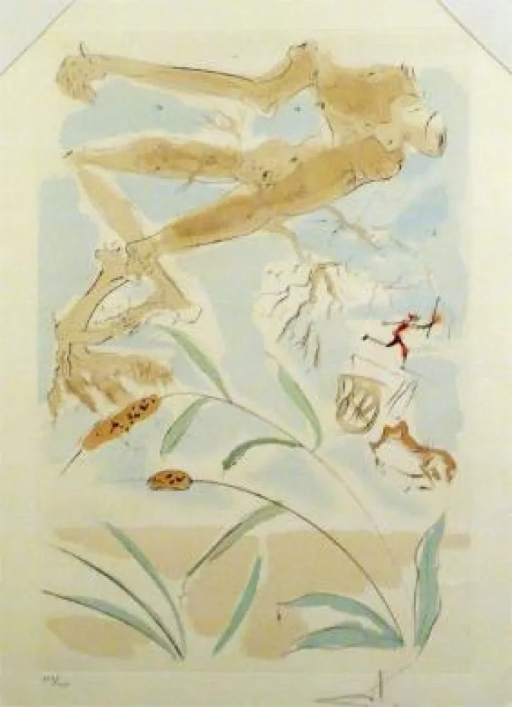 Sin Técnico Dali - The Oak and the Reed - from the suite 