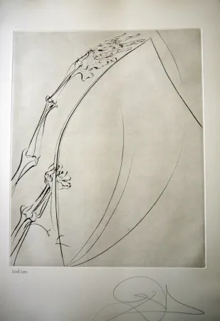 Punta Seca Dali - THE ROD