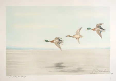 Aguafuerte Danchin - 12 Canards au large - Three Ducks flying (Original)