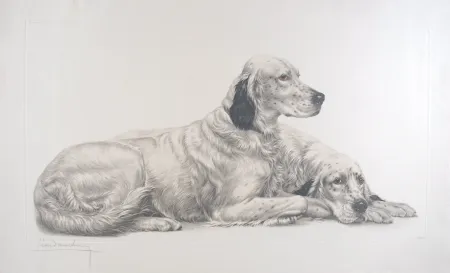 Grabado Danchin - Deux Setters couchés (Setters au repos) - Two English Setters at rest