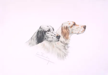 Litografía Danchin - Deux têtes de Setters - Two Setters heads (Original)