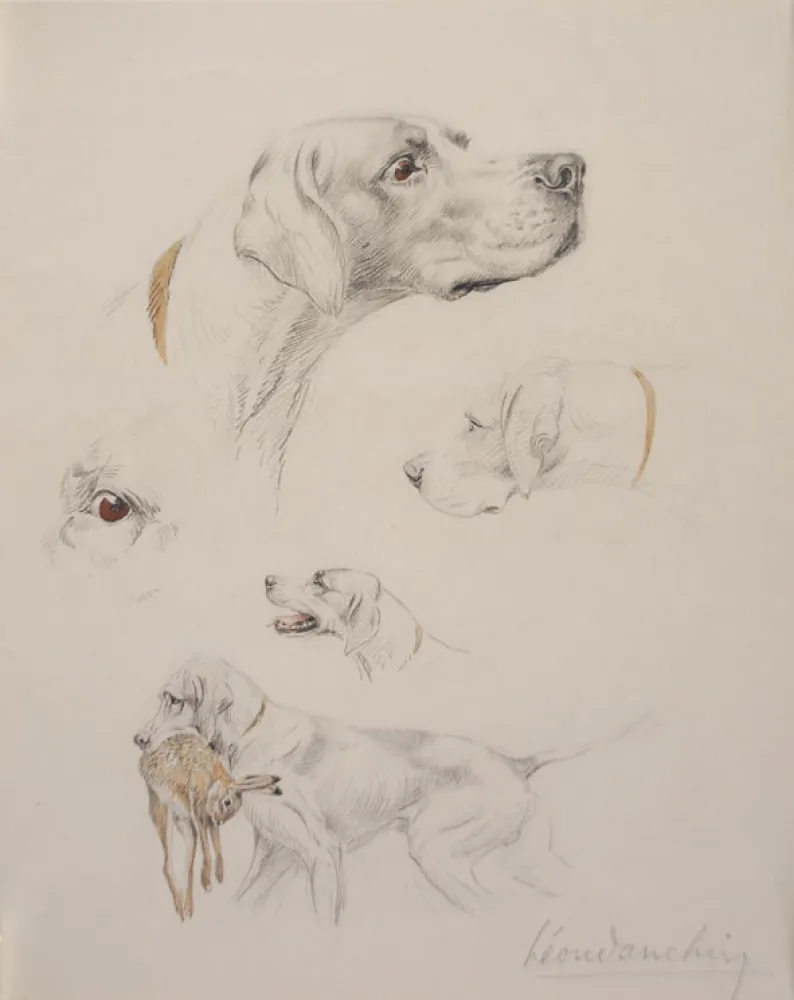 Sin Técnico Danchin - Etude de pointer