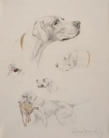 Sin Técnico Danchin - Etude de pointer