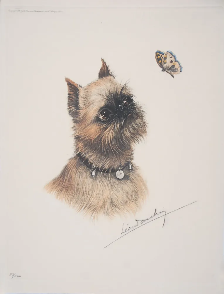Aguafuerte Danchin - Griffon Bruxellois et papillon - Brussel Griffon and butterfly