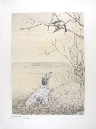 Grabado Danchin - Setter et Canard branche - English Setter and Duck in a tree (Original)