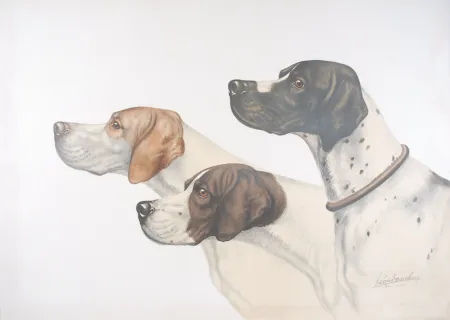 Litografía Danchin - Three Pointer head - Trois têtes de Pointer (Original)