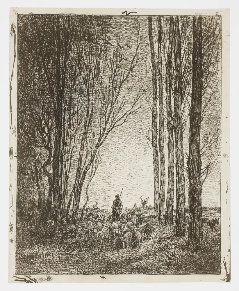 Sin Técnico Daubigny - La Rentrée du Troupeau (Return of the Flock)