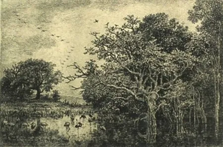 Grabado Daubigny - Le marais aux cigognes