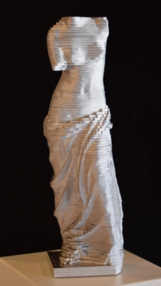 Sin Técnico David - Small Vénus