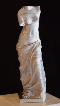 Sin Técnico David - Small Vénus