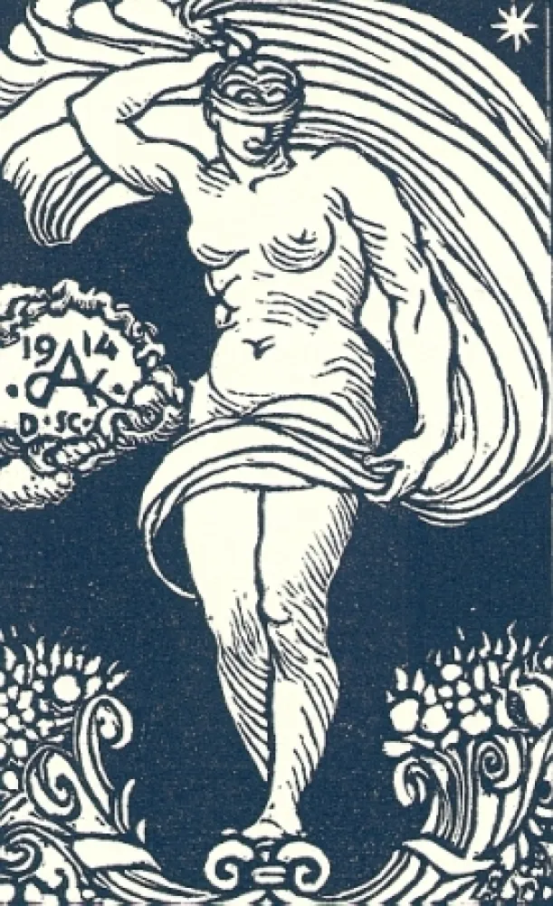 Libro Ilustrado De Carolis - Le carte da gioco