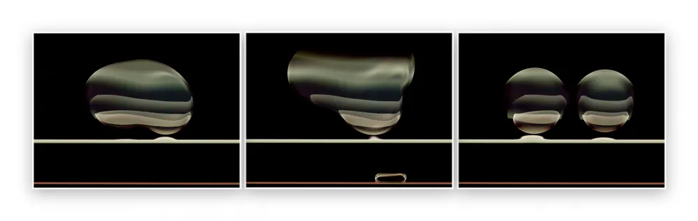 Fotografía De Haan - Timeline 5