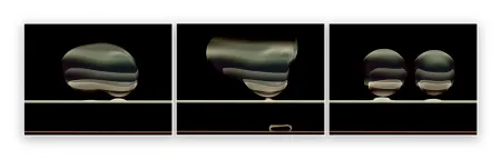 Fotografía De Haan - Timeline 5