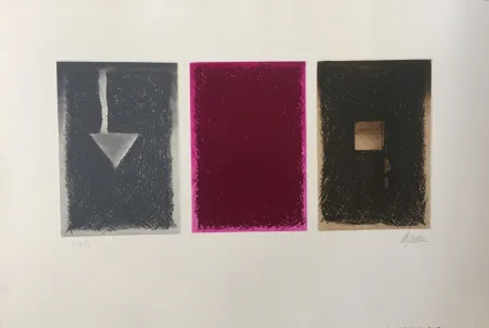 Aguafuerte Y Aguatinta De Juan - Triptico en color I