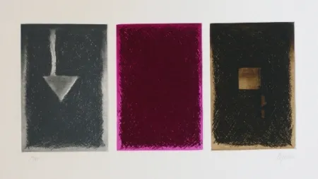 Aguafuerte Y Aguatinta De Juan - Triptico en color I