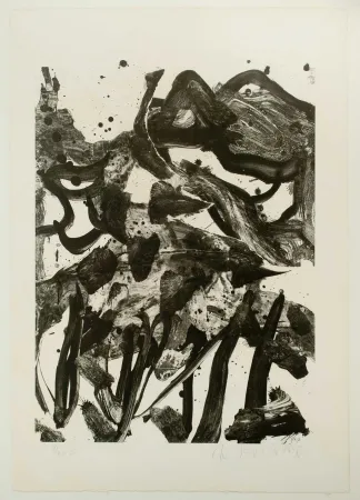 Litografía De Kooning - The Marshes