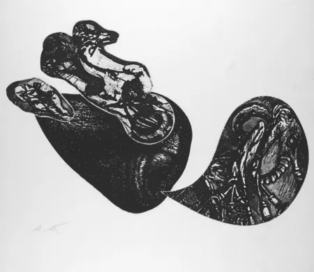 Aguafuerte De Vita - Le cose che volano II