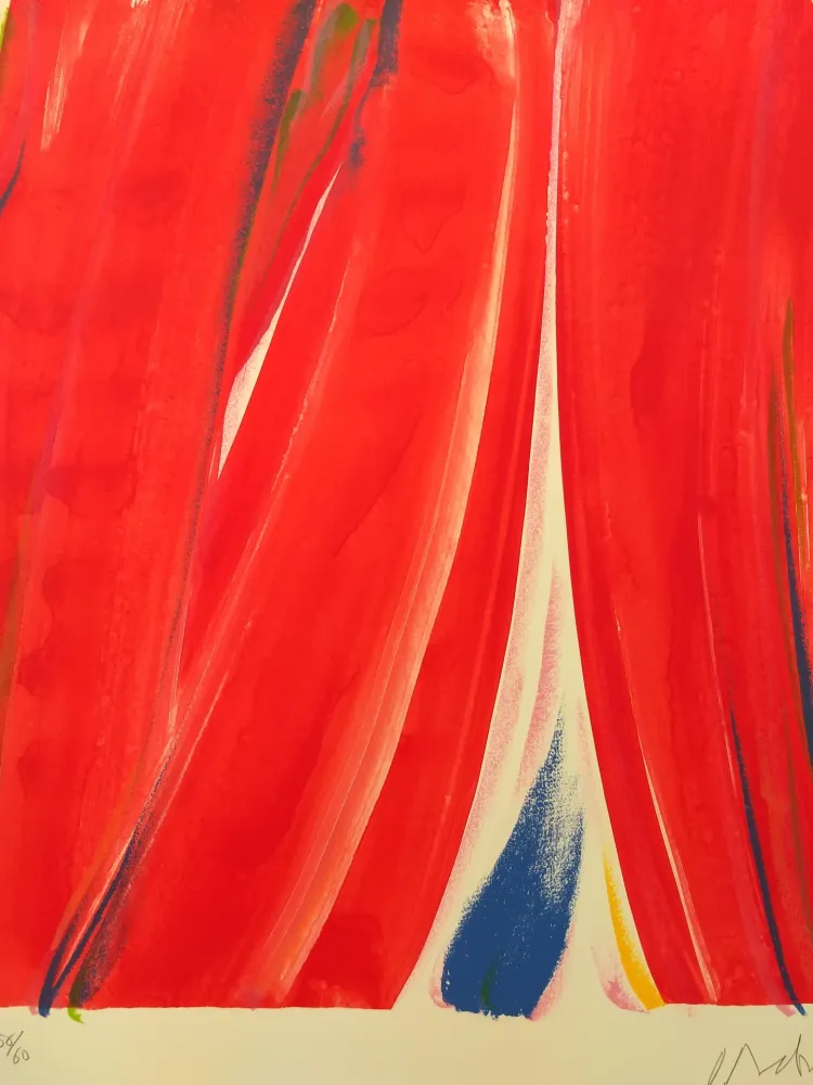 Litografía Debré - 56/60