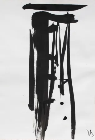 Sin Técnico Debré - Signe 1