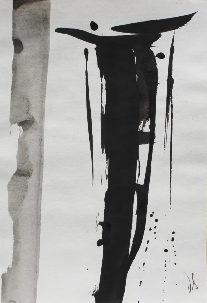 Sin Técnico Debré - Signe 2