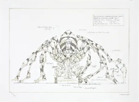 Litografía Delarozière - L'araignée géante