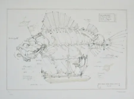 Litografía Delarozière - Le Poisson Pirate