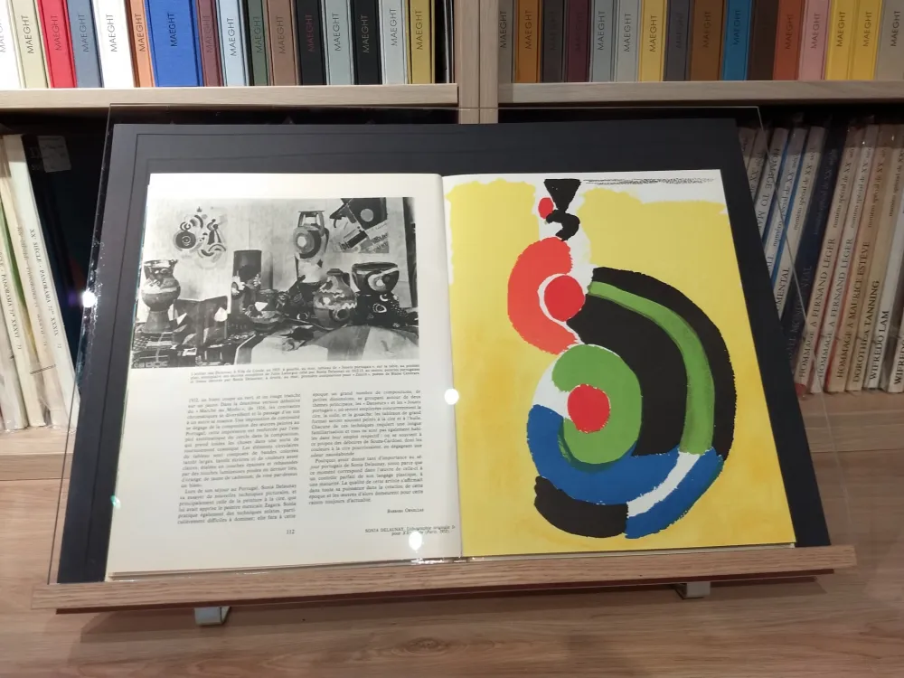 Libro Ilustrado Delaunay - No 39