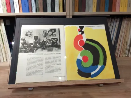 Libro Ilustrado Delaunay - No 39