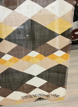 Sin Técnico Delaunay - Sin titulo