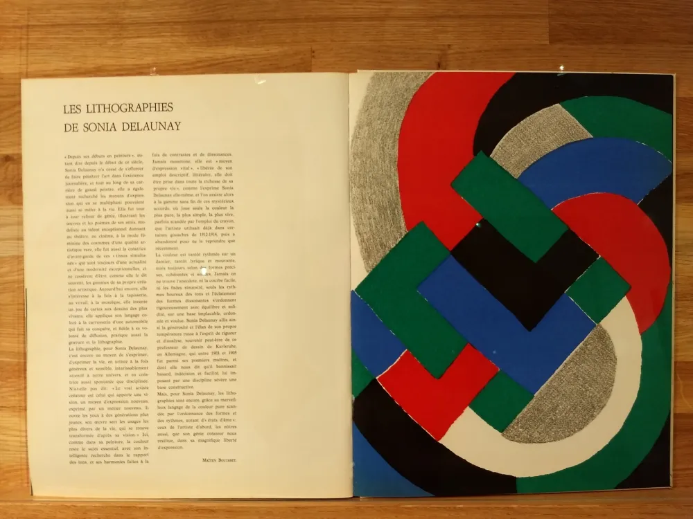 Libro Ilustrado Delaunay - Xxe No32