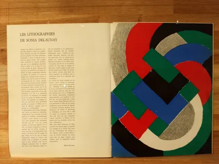 Libro Ilustrado Delaunay - Xxe No32