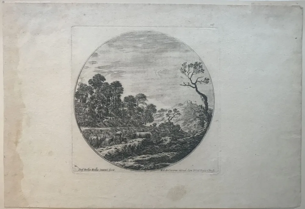 Punta Seca Della Bella - Country side scene with cows