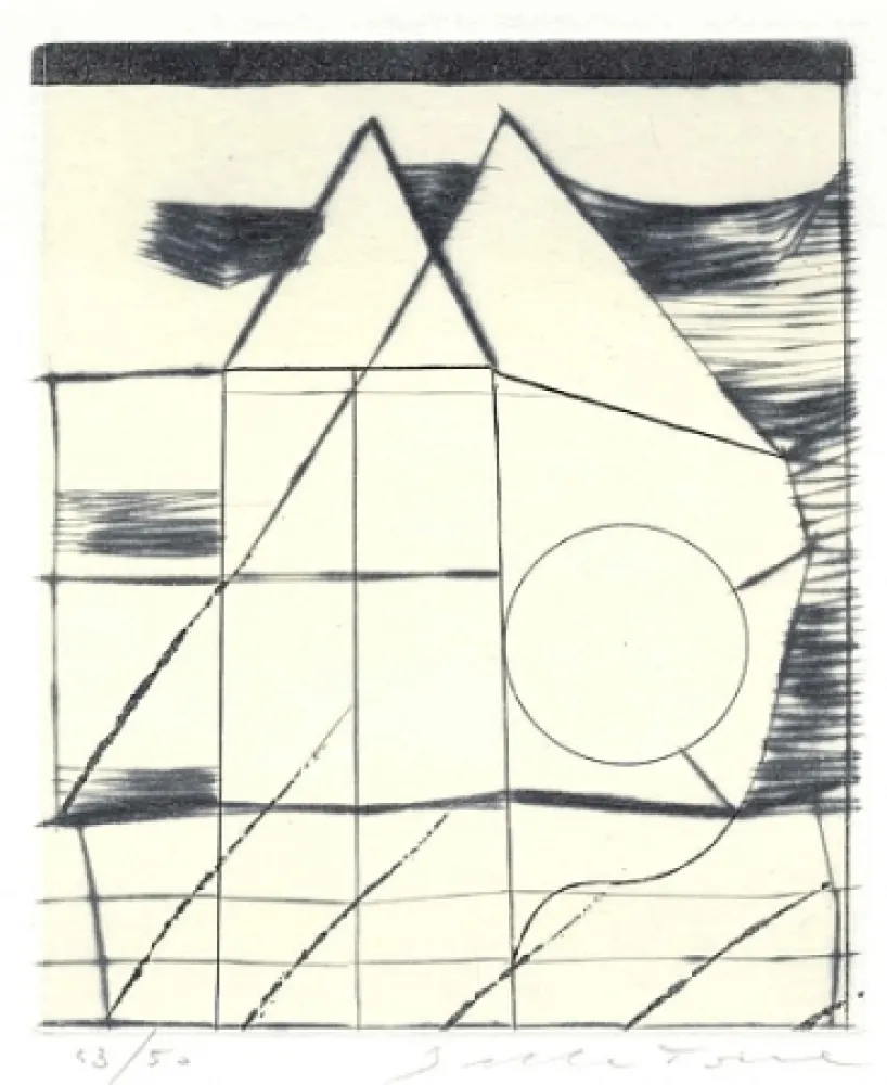 Libro Ilustrado Della Torre - Immagini riflesse