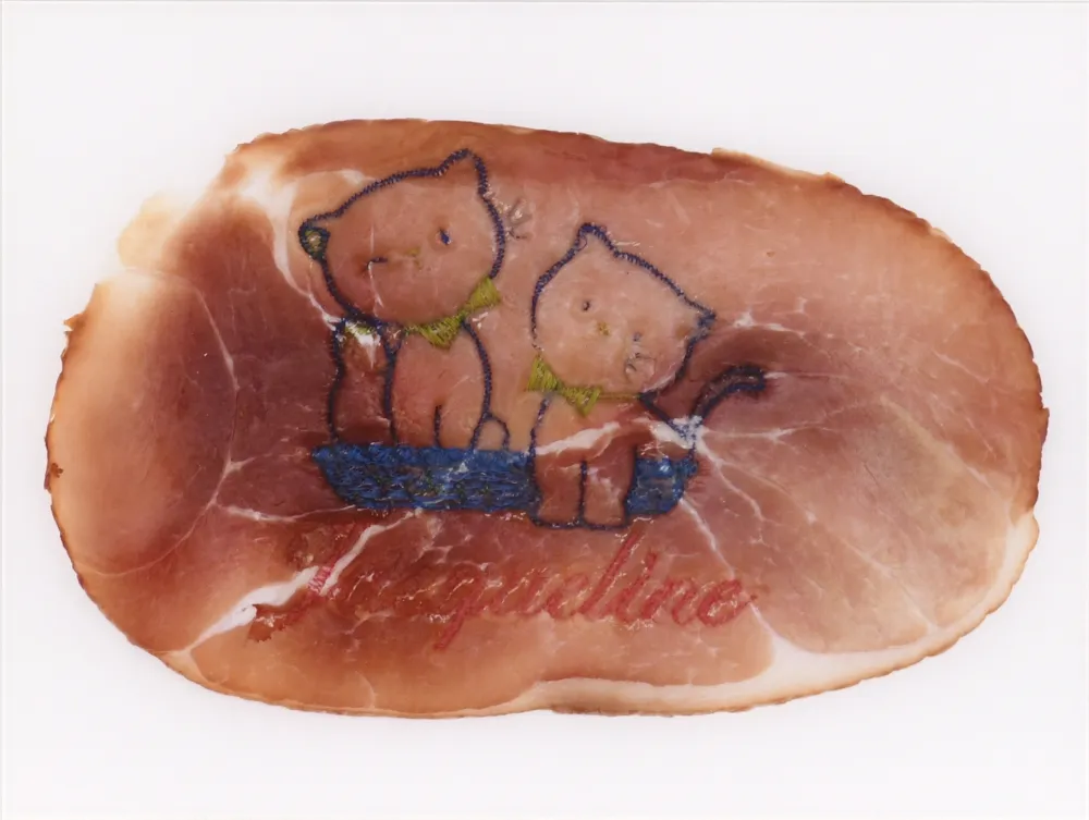 Fotografía Delvoye - Untitled 02 (Photograph of Embroidered Ham) (