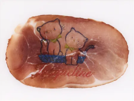 Fotografía Delvoye - Untitled 02 (Photograph of Embroidered Ham) (