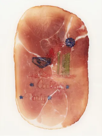 Fotografía Delvoye - Untitled (Photograph of Embroidered Ham)