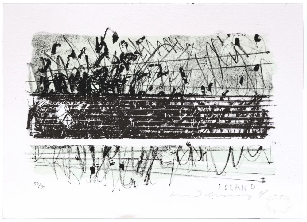 Litografía Denning - Islande II