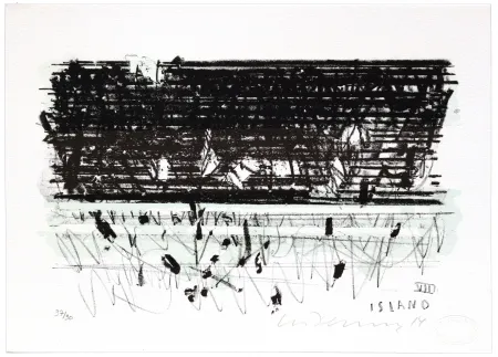 Litografía Denning - Islande VIII