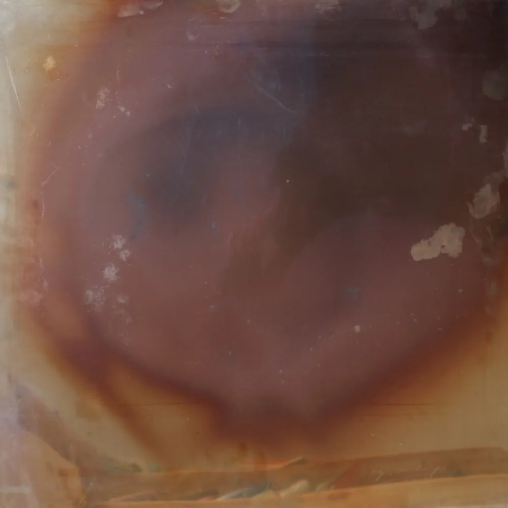 Sin Técnico Deschamps -  Les Nouveaux Realistes