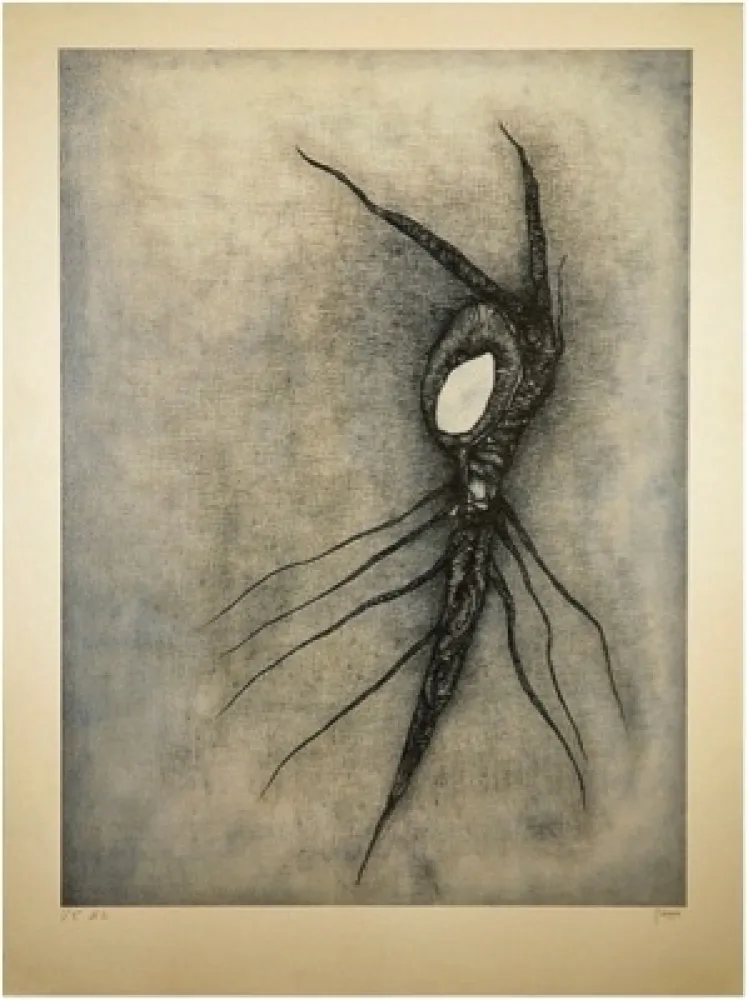 Litografía Deux - La Vingtième racine cosmique