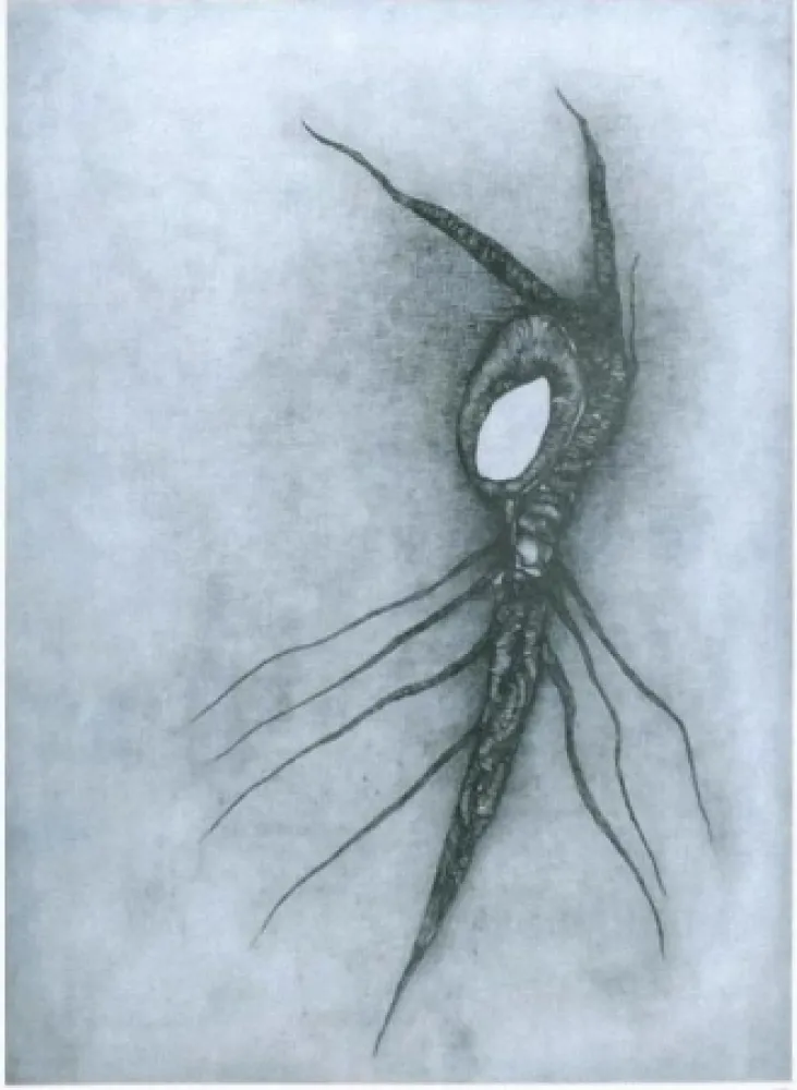 Litografía Deux - La vingtième racine cosmique