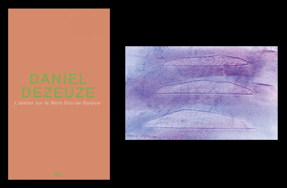 Libro Ilustrado Dezeuze - L'art en écrit 