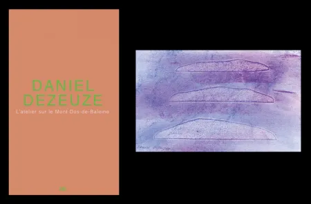 Libro Ilustrado Dezeuze - L'art en écrit 