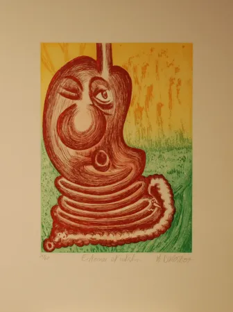 Grabado Di Rosa - Estomac et Intestin