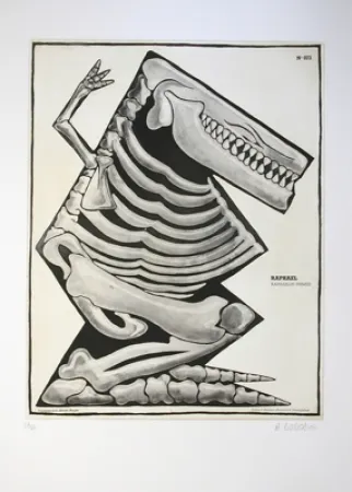 Aguafuerte Y Aguatinta Di Rosa - Raphaël