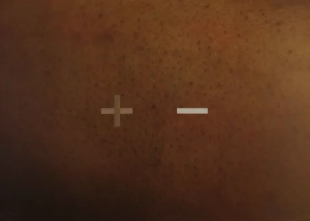 Serigrafía Dias - S.T.